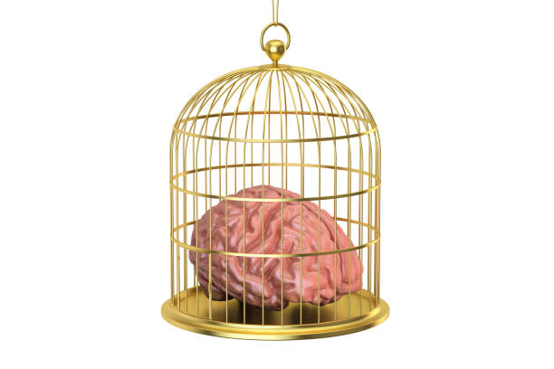 Birdcage with a brain inside, 3D rendering isolated on white background vector art illustration