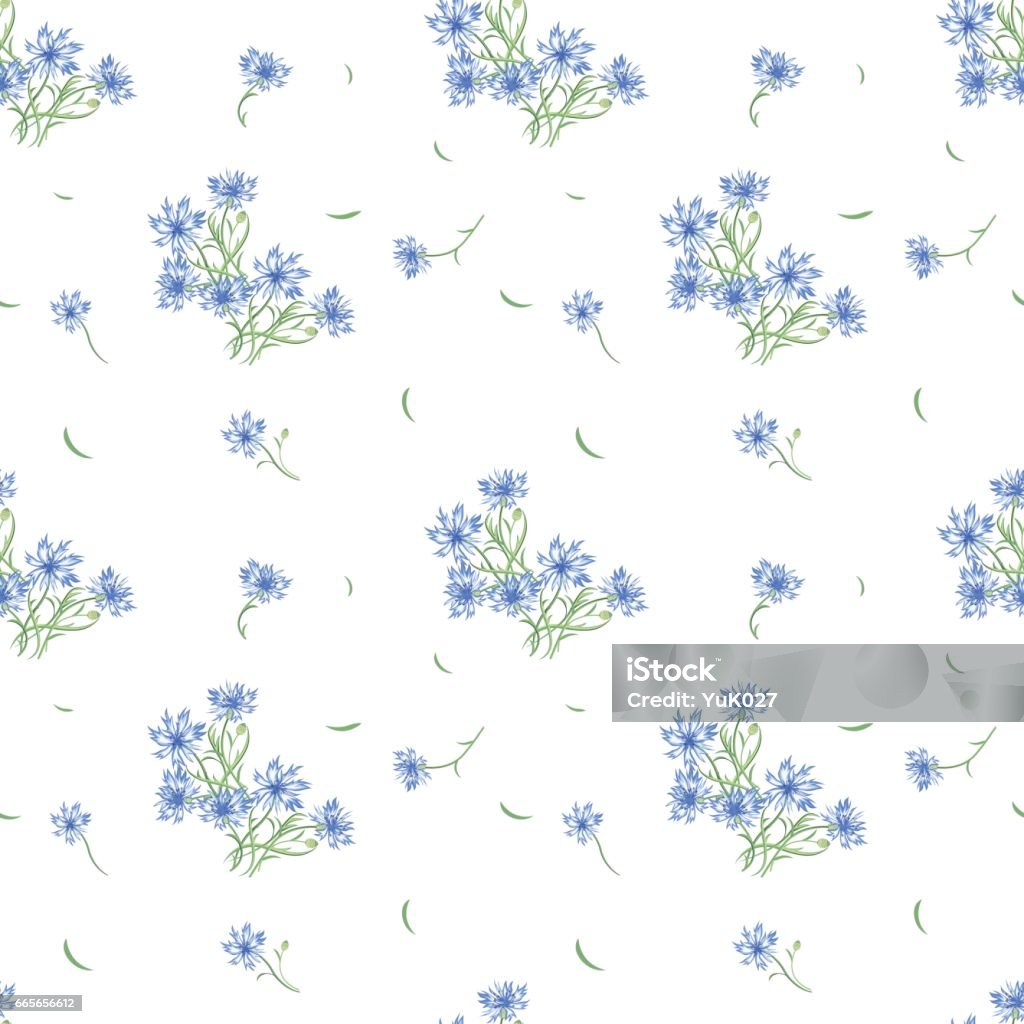 Floral seamless pattern with cornflower flowers and leaves Floral pattern with cornflowers Bluebonnet stock vector