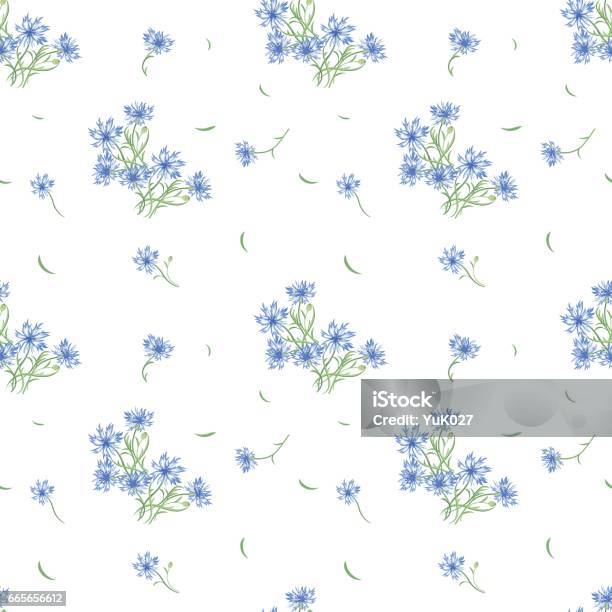 Floral Seamless Pattern With Cornflower Flowers And Leaves Stock Illustration - Download Image Now