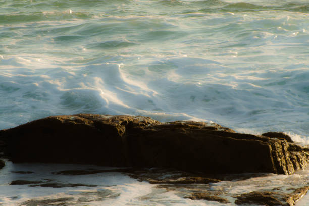 istock sea water foam texture and rocks at sunset lights 665656756
