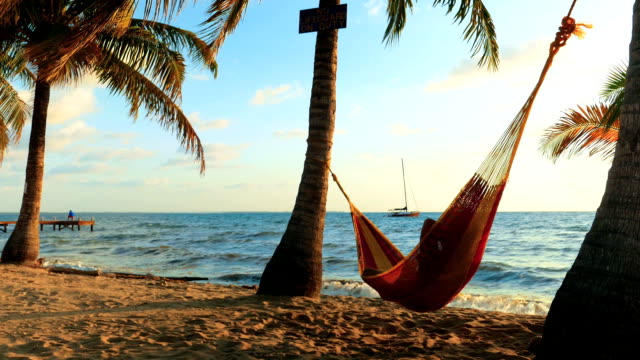 Man Chilling in a Hammock