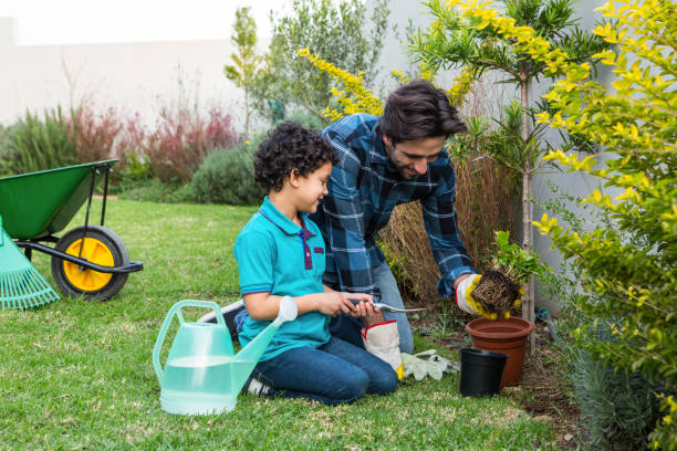 istock Smiling father and son gardening 665665932