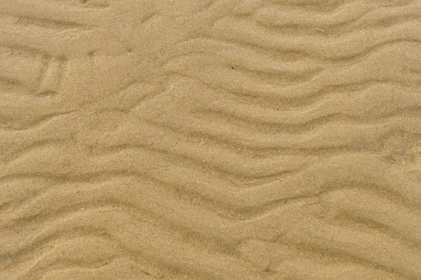 istock closeup of wet sand pattern of a beach in the spring 665669844