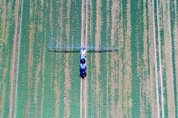 istock Tractor spraying the chemicals 665673240