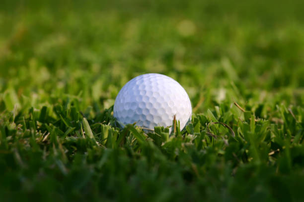 istock Golf Ball in the Rough 665678696