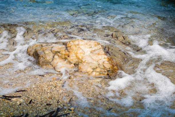 Sea-foam and rock in the water