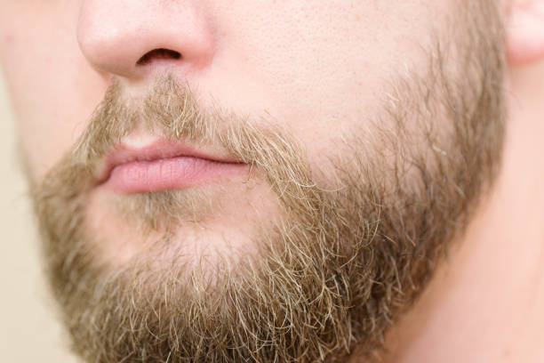 istock Caucasian male with medium long beard close up 665692972