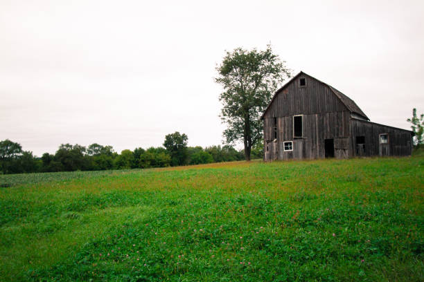 istock Abandoned Midwest Barn in Green Field 665702198