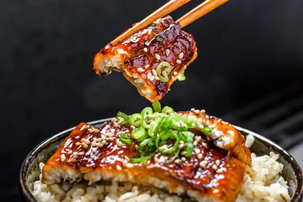 Grilled eel with sweet soy sauce over brown rice with scallion