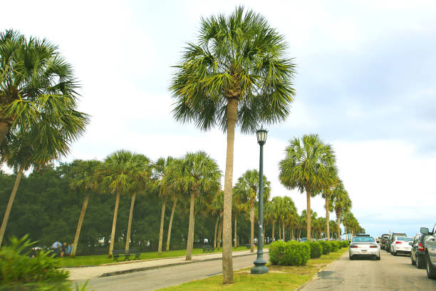 istock Charleston South Carolina 665714082
