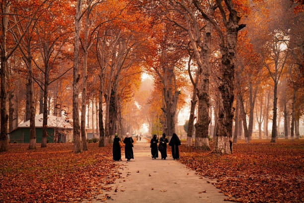 Burka clad Kashmiri women walking on pathway, also seen fallen leaves spread all over Kashmir University Campus stock photo