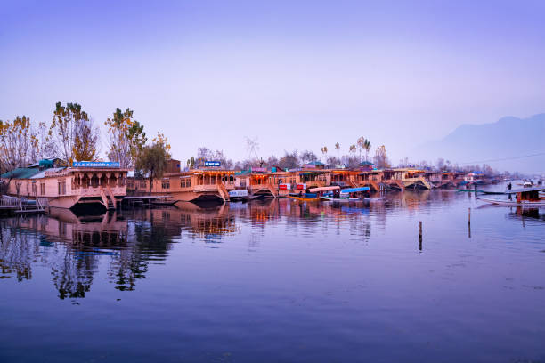 Parked houseboats on the bank of Dal Lake stock photo