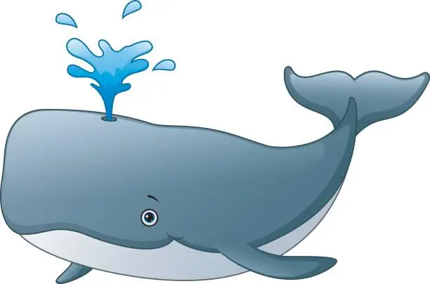 Vector illustration of Cute whale cartoon