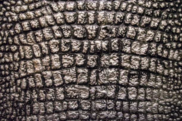 istock Stamped metal background, imitating crocodile skin. 665717822