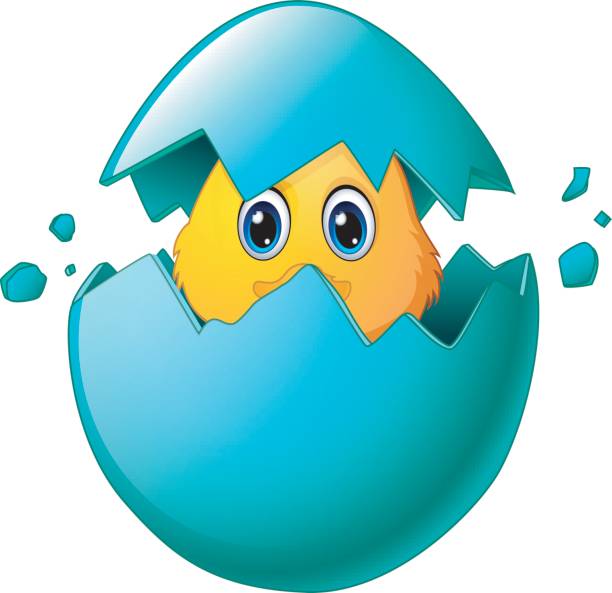 Cute Easter Chicks In Egg Shell Stock Illustration - Download Image Now -  Easter, Peeking, Animal Egg - iStock