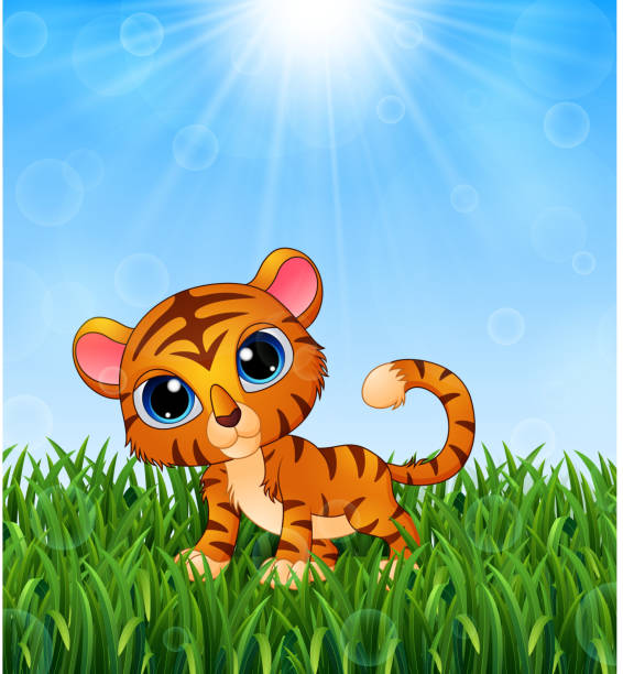 cartoon baby-tiger in den rasen auf einem hintergrund von strahlendem sonnenschein - babytiger stock-grafiken, -clipart, -cartoons und -symbole