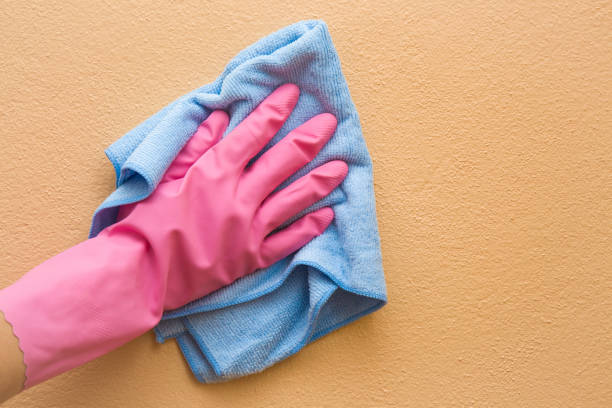 istock Hand in pink protective glove cleaning wall from dust with rag. Early spring cleaning or regular clean up. Maid cleans house. 665727932