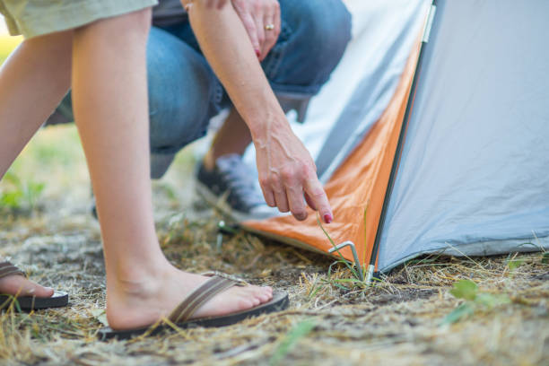 istock Family helping each other put up tent 665750408