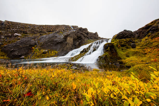 Scenic view of river flowing amidst rocky landscape. View of beautiful nature in Iceland. Plants and grass are growing on riverbank.