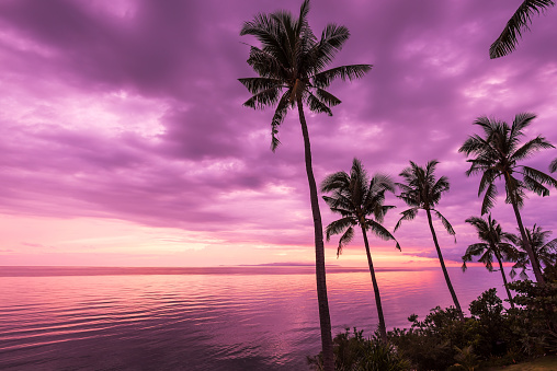 Tropical beach sunset landscape