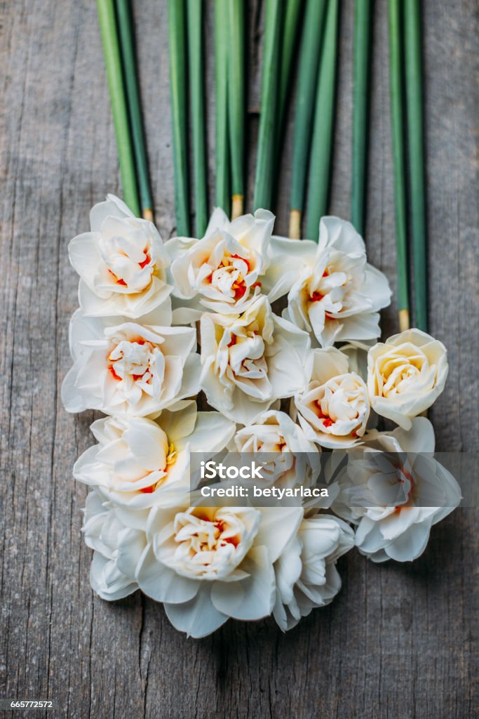 Decoración De Flores Flores Naturales Vintage Foto de stock y más banco de imágenes de Arreglo floral - Arreglo floral, Belleza, Belleza de la naturaleza - iStock Decoración De Flores Flores Naturales Vintage Foto de stock y más banco de imágenes de Arreglo floral - Arreglo floral, Belleza, Belleza de la naturaleza - iStock