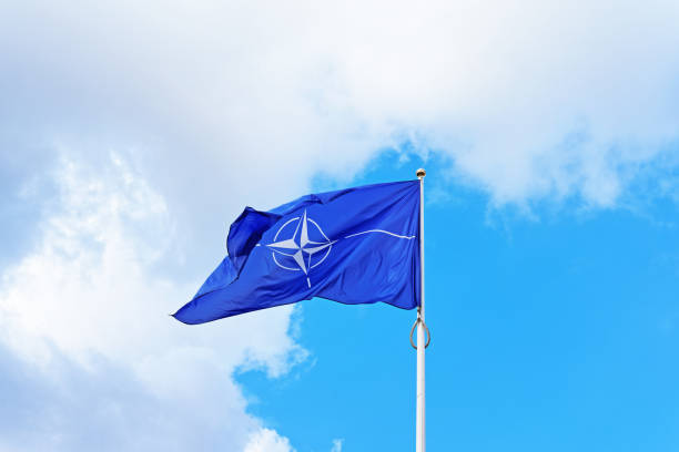 NATO flag waving by wind Vilnius, Lithuania - September 3, 2015: NATO flag waving by the wind nato stock pictures, royalty-free photos & images