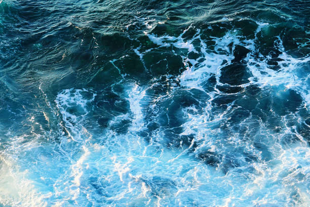 istock Scene of Waves and Sea Sponge. 665776514