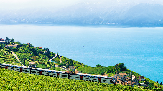 Train in Vineyard Terraces in Lavaux at Lake Geneva Alps