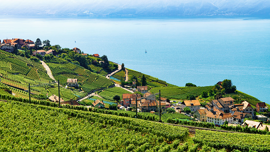 Railway line at Lavaux Vineyard Terrace Lake Geneva Switzerland