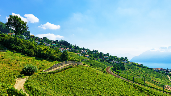 Railway line Lavaux Vineyard Terraces Lake Geneva of Switzerland