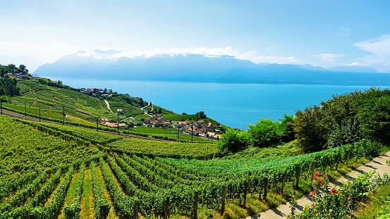 Railway line in Lavaux Vineyard Terraces Lake Geneva of Switzerland