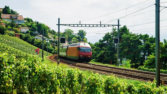 Train and railroad at Lavaux Vineyard Terrace