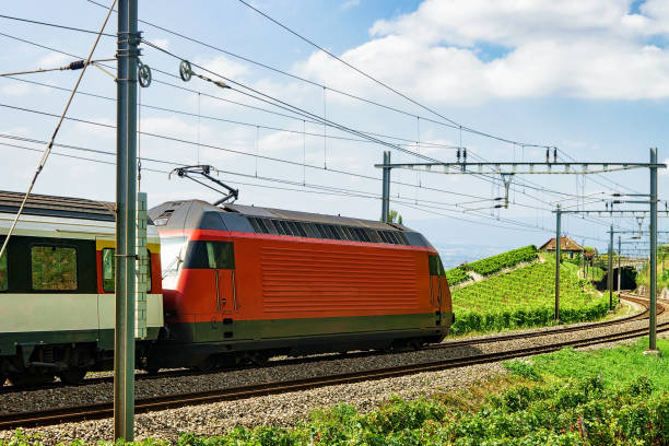 istock Train on railroad on Lavaux Vineyard Terraces 665783048