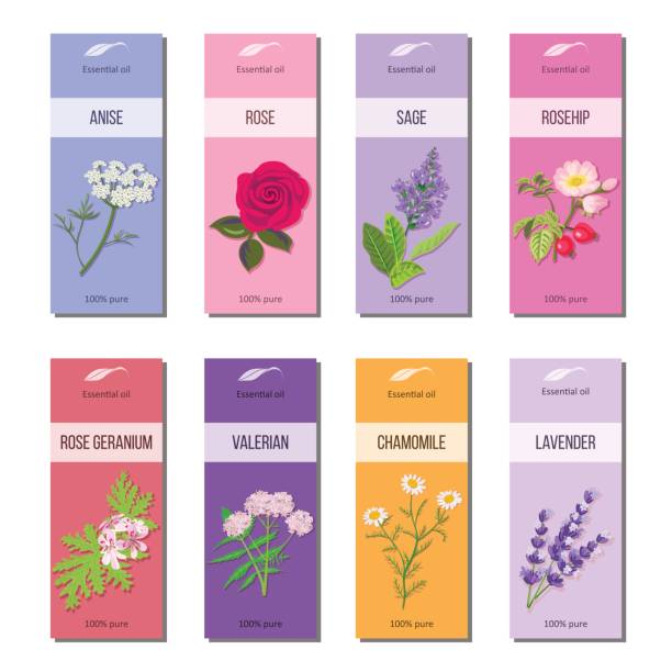istock Essential oil labels collection. Rose, anise, sage, rosehip, Lavender, rose Geranium, Chamomile, Valerian 665789632