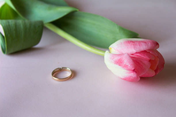 istock Engagement ring with pink  tulip on the pink background 665790198