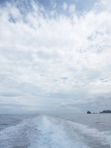 보트 웨이크 - sailing motorboating speedboat racing nautical vessel 뉴스 사진 이미지