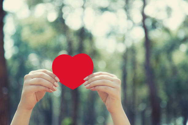 istock Woman hands holding red heart 665800484