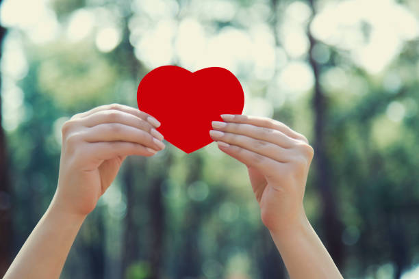 istock Woman hands holding red heart 665800506