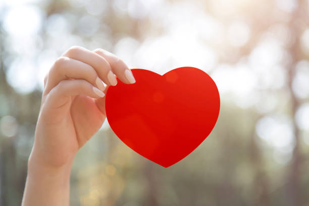 istock Woman hands holding red heart 665800514
