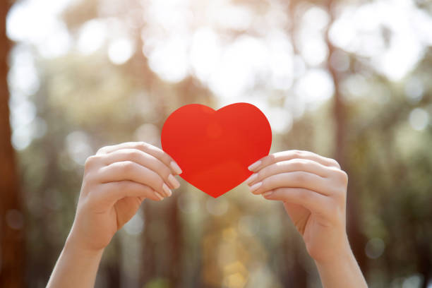 istock Woman hands holding red heart 665800534