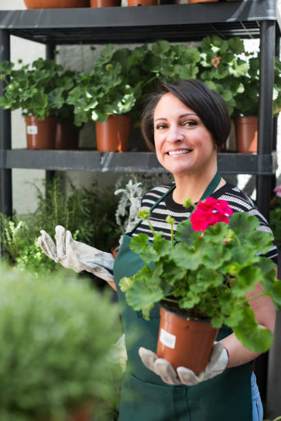 istock florist holding pot with flower 665800886
