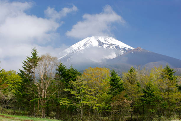 istock Fuji and the fresh green 665801744