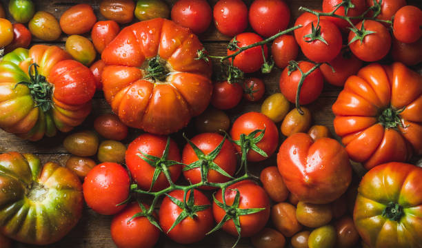 pomodori colorati di diverse dimensioni e tipi - healthy eating multi colored orange above foto e immagini stock