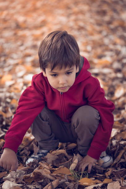 istock Boy playing with autumnal leaves 665816674
