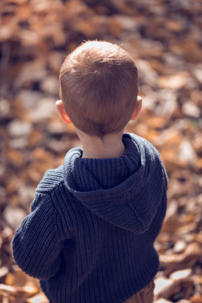 istock Little boy in park 665819756