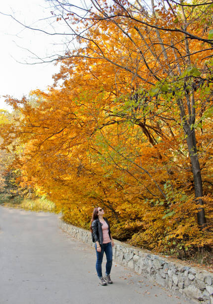istock Alone girl looking at the biggest orange tree in autumn 665823396