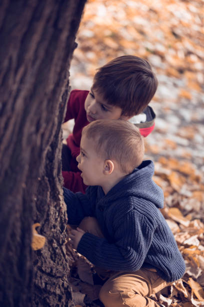 istock Two boys exploring the tree in park full of fallen leaves 665823698