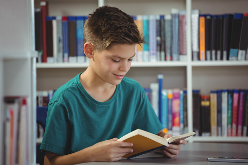 Schoolboy reading book in library at school