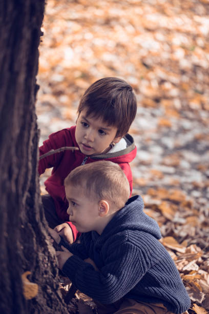 istock Two boys exploring the tree in park full of fallen leaves 665824690