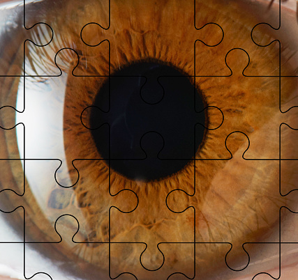 eyeball with puzzle